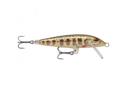28292 rapala count down sinking 7 gjtr