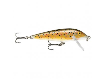 28373 rapala count down sinking 9 tr
