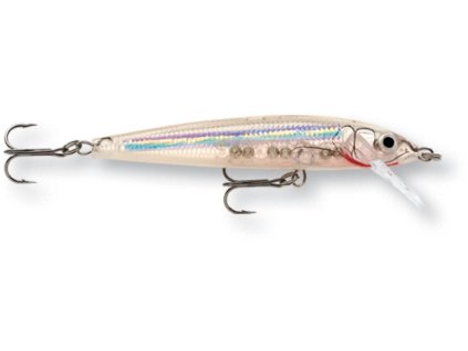 29588 rapala husky jerk 10 gmn