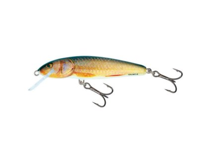 Salmo Minnow RR