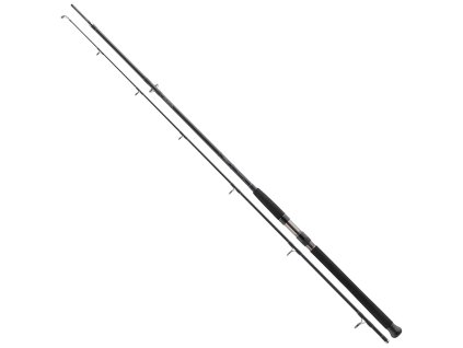 Daiwa Exceler Catfish 1