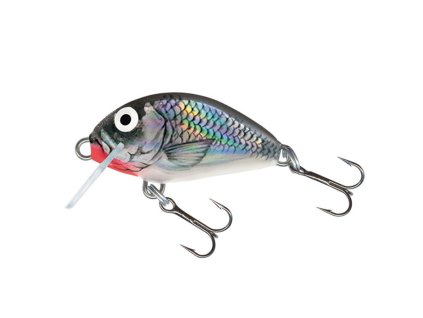 Salmo Tiny HGS