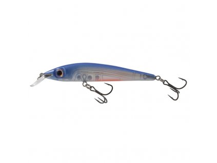 Salmo Sting CB