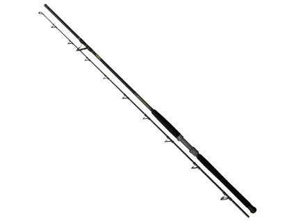 Black Cat Solid Bank 1
