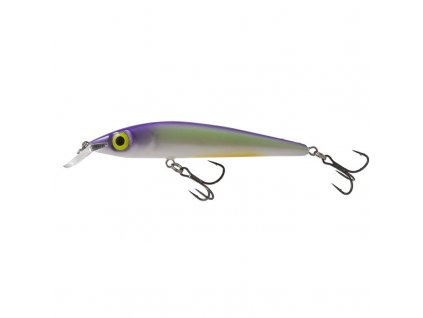 Salmo Sting TRS