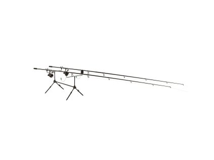 Carp Set Mitchell 1