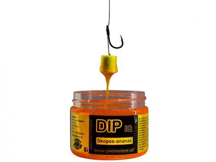 Carpservis IQ dip 1