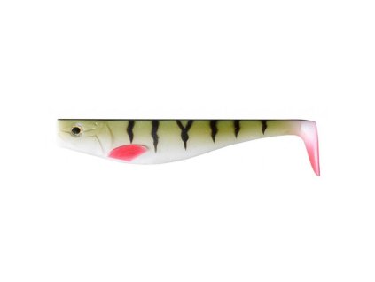 Dexter Shad Perch