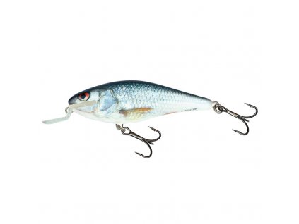 Salmo Executor Real Dace