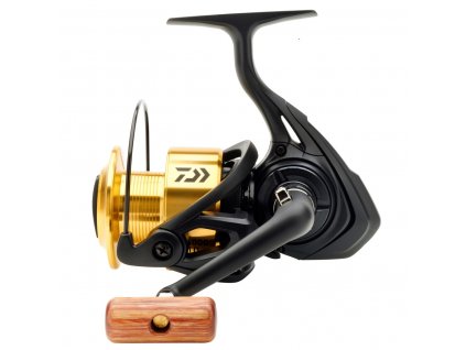 Daiwa GS 4000 LTD 1