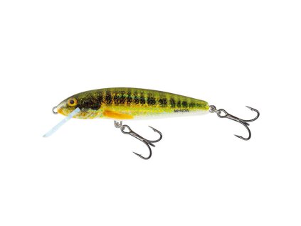 Salmo Minnow HRM