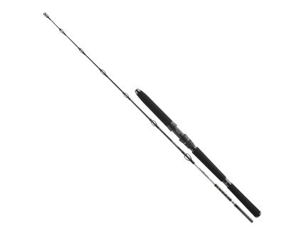 Daiwa BG Deep Sea 1