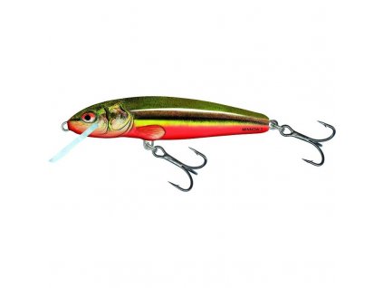 Wobler Salmo MINNOW-RBD (Velikost M5S 5cm)