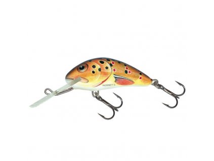 Salmo Hornet T