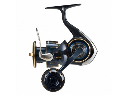 Daiwa Saltiga 6000 1