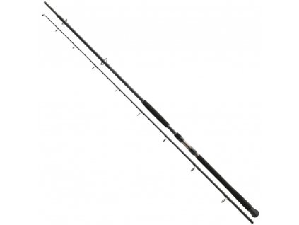 Daiwa Exceler Catfish 1