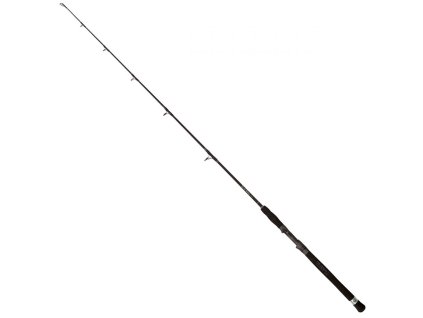 Sumcový prut Black Cat Vertical 1,7m 100-200g