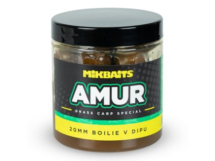 Boilie v dipu Mikbaits Amur 1