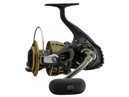 Daiwa BG 4000