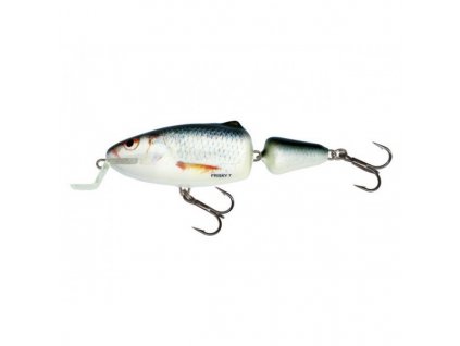 Salmo Frisky-RD