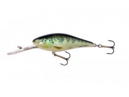 Wobler Salmo EXECUTOR-RTR (Velikost EX5SDR 5cm)
