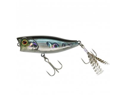 Chubby Popper 42 Ablette