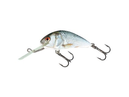 Salmo Hornet RD