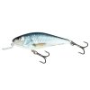 Salmo Executor Real Dace