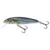 Salmo Minnow Spirlin