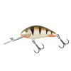 Salmo Hornet Nordic Perch