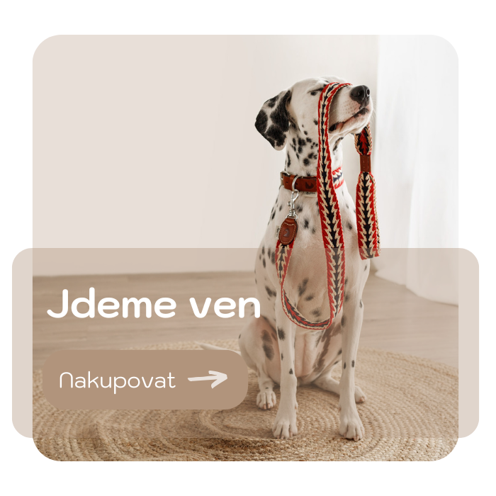 jdeme ven