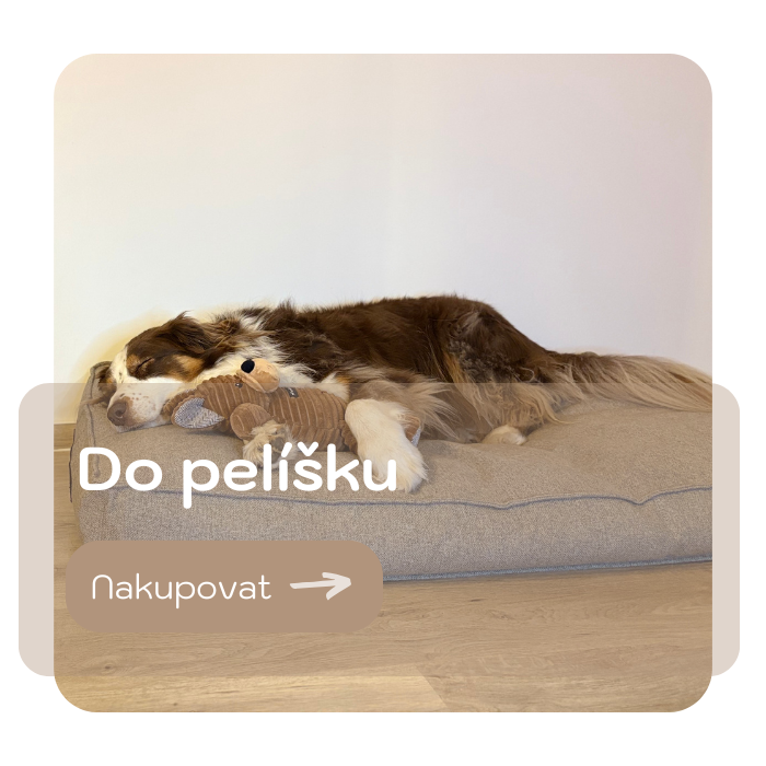pelisek