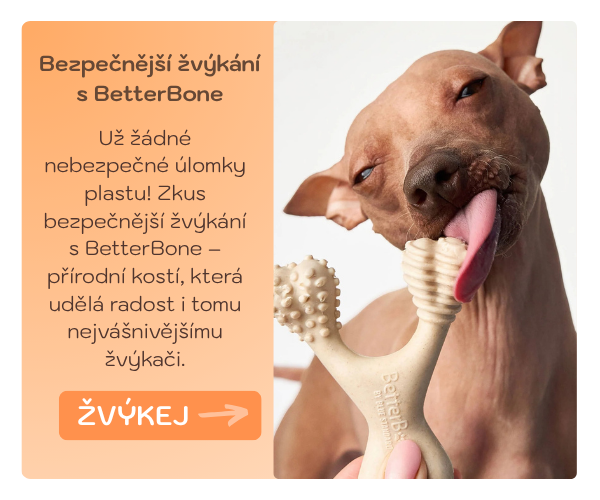 betterbone