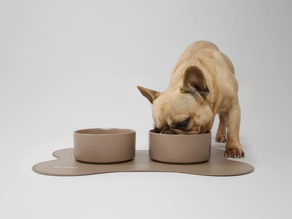 bowl_co_7