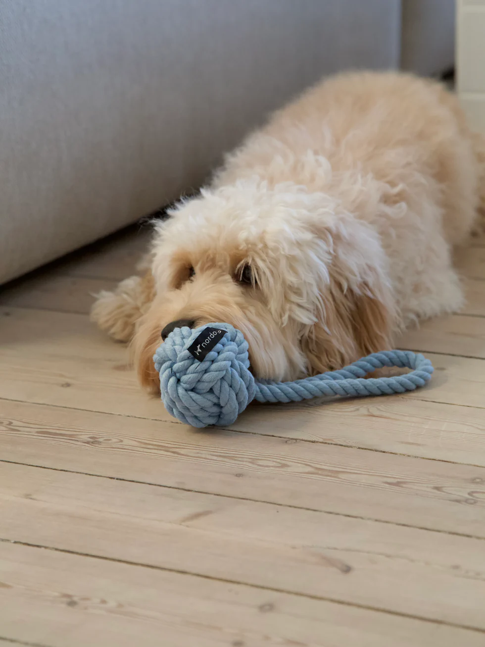 rope_2_1