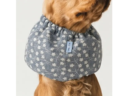 nakrcnik modre kvetiny 3