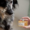 Pawness Perfume4