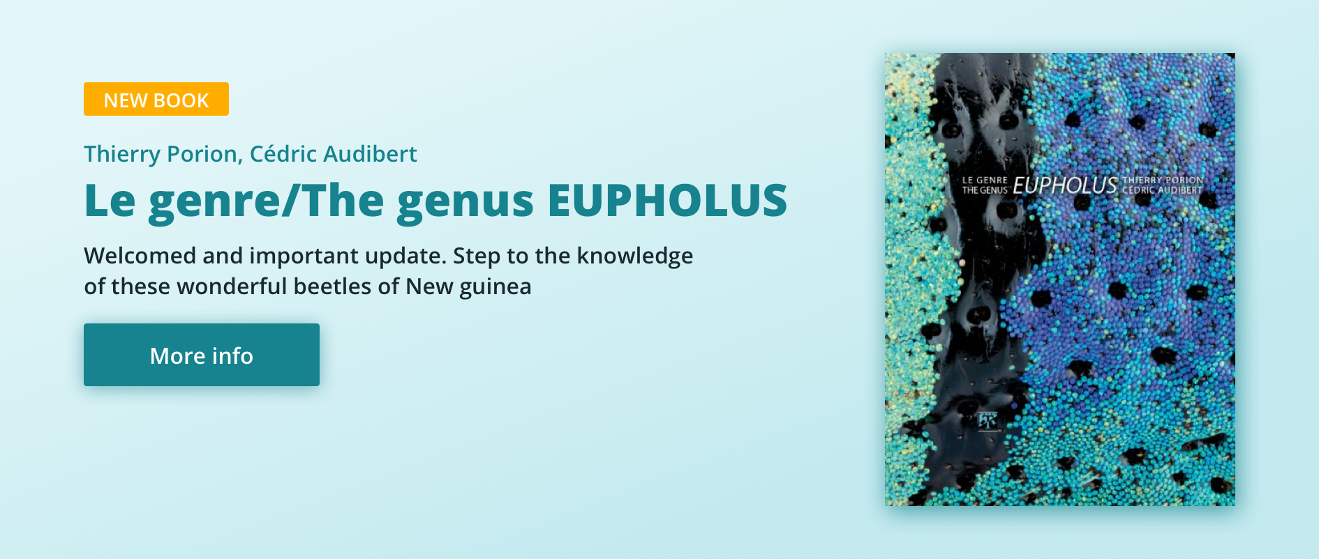 Le genre/The genus EUPHOLUS