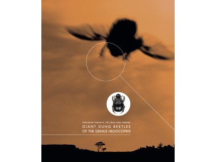cover OK Fin Fin Helios