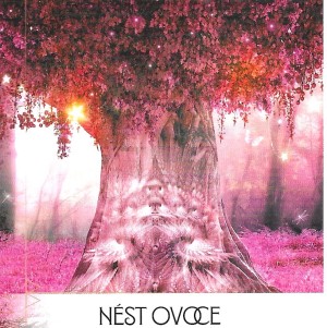 Karta týdne 21.10.-27.10.2024