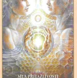 Karta týdne 23.6.-29.6.2025