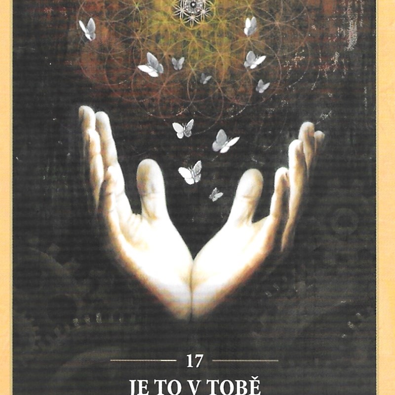 Karta týdne 10.11.-16.11.2025