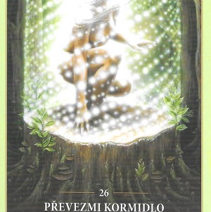 Karta týdne 27.1.-2.2.2025