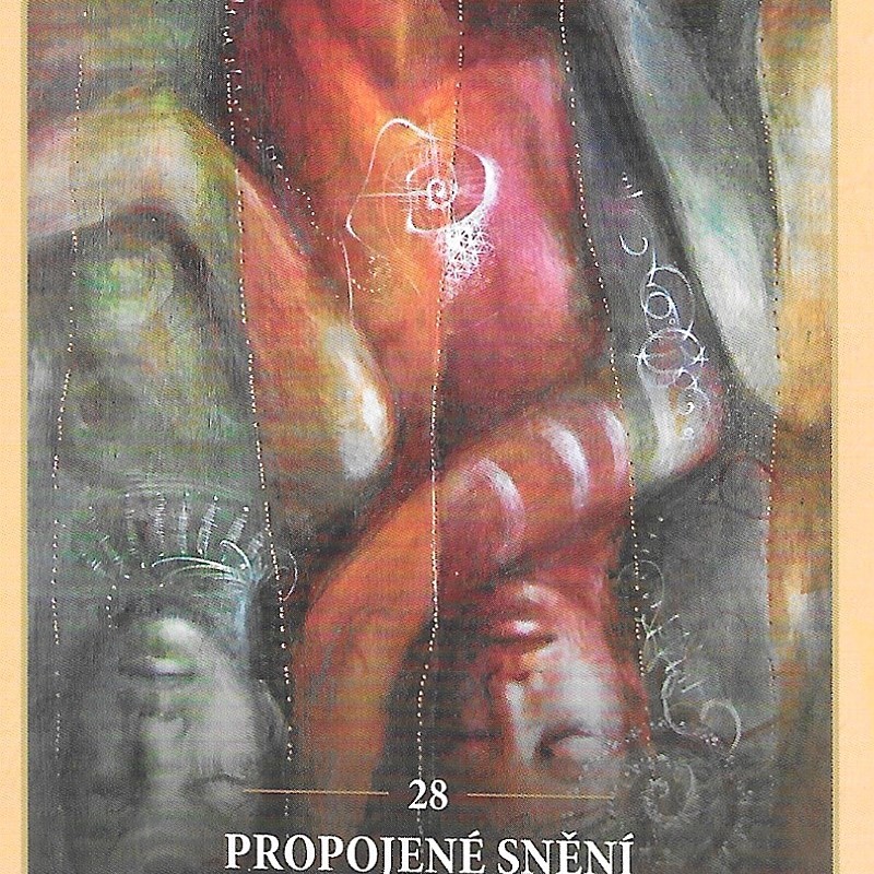 Karta týdne 25.8.-31.8.2025