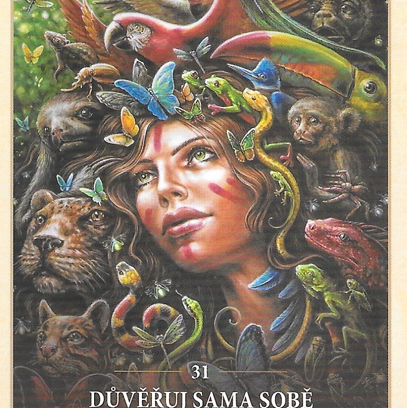 Karta týdne 15.9.-21.9.2025