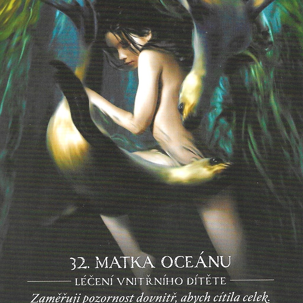 Karta týdne 8.12.-14.12.2025