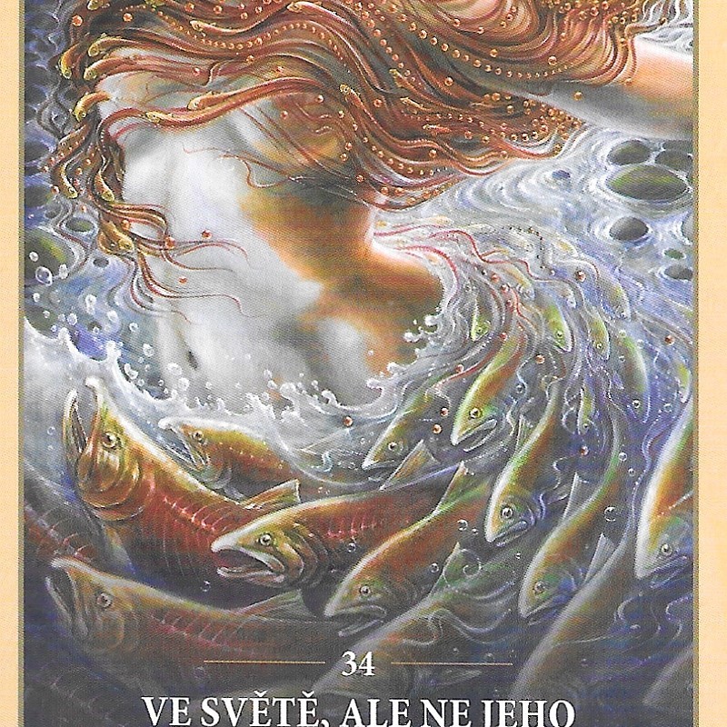 Karta týdne 22.9.-28.9.2025