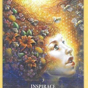 Karta týdne 17.2.-23.2.2025