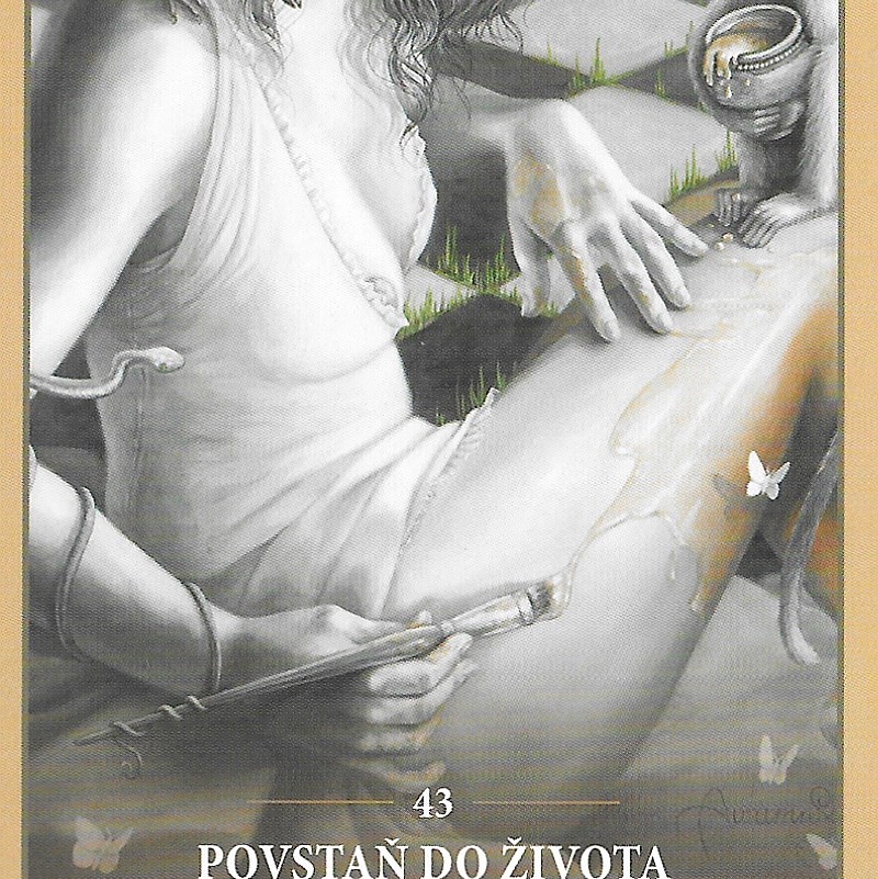Karta týdne 18.8.-24.8.2025