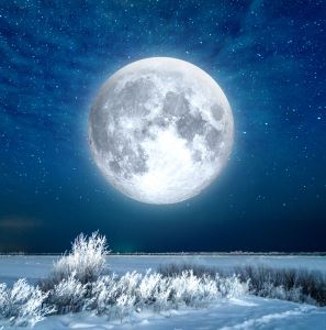 Sněžný úplněk (Lev)